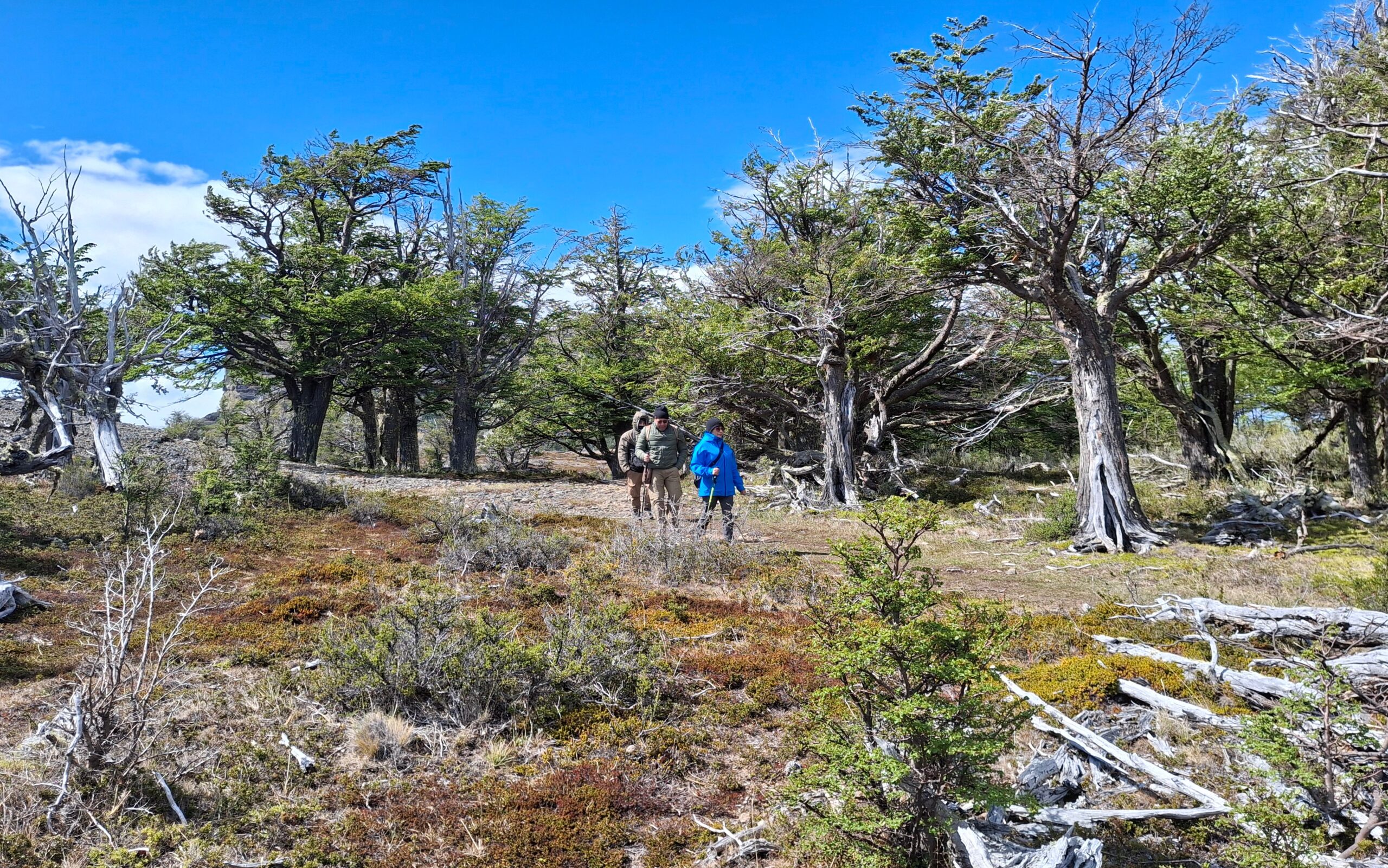 Trekking Pinturas Rupestres - Imagen 5
