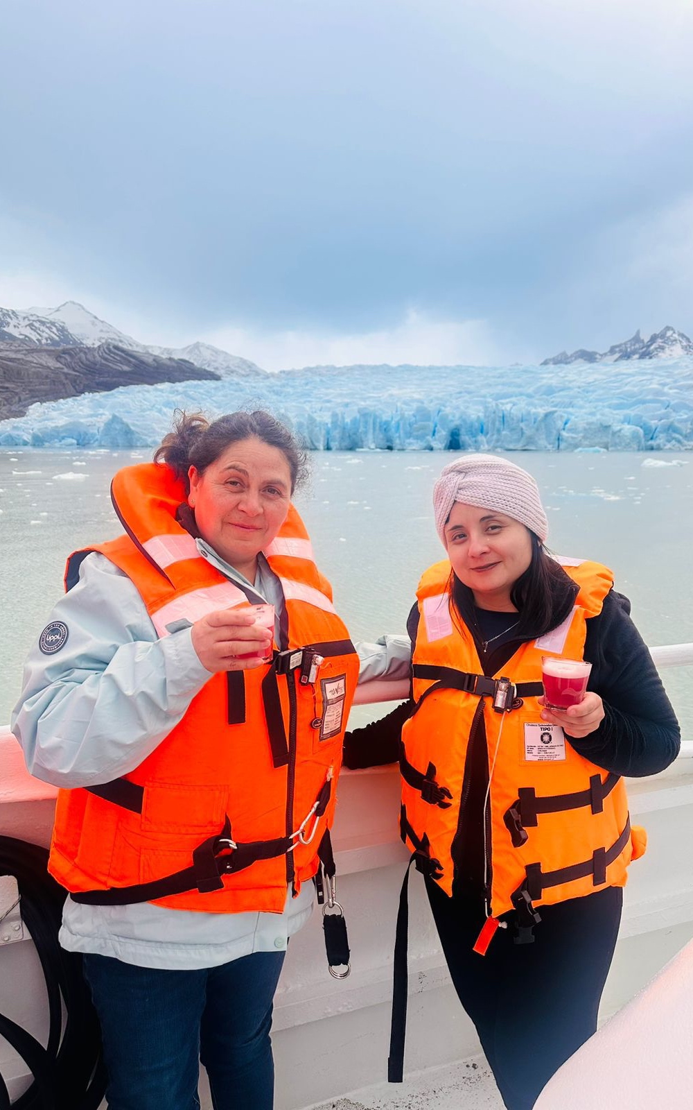 Navegacion Glaciar Grey - Imagen 7